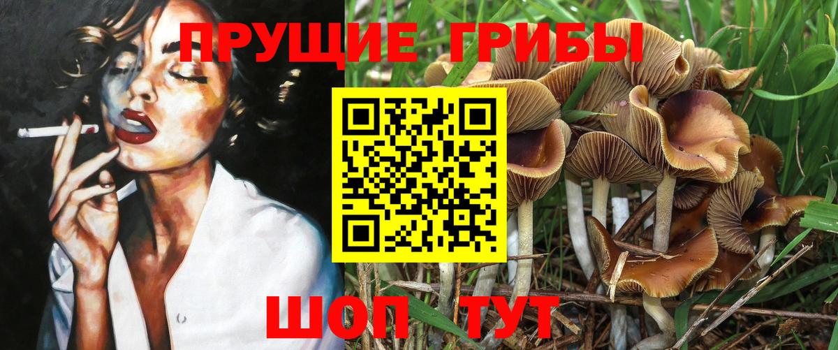 Галлюциногенные грибы прущие грибы Орехово-Зуево