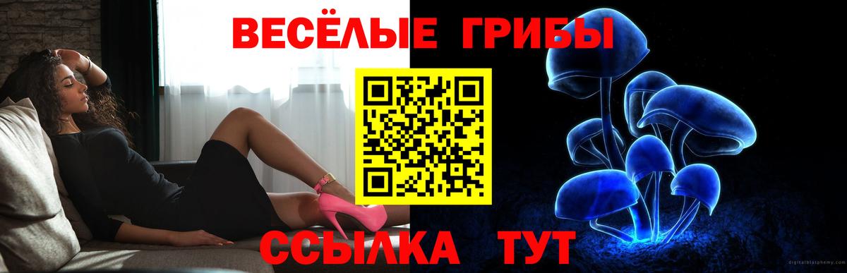 Орехово-Зуево  Псилоцибиновые грибы прущие грибы  Псилоцибиновые грибы Cubensis  Вход с VPN 